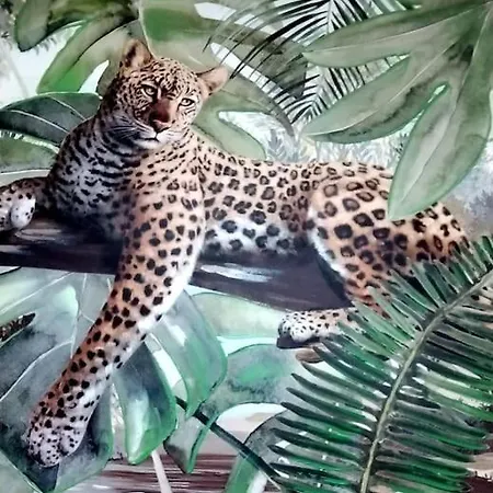 Pink Catia Coqueto Piso Playa Del Cura